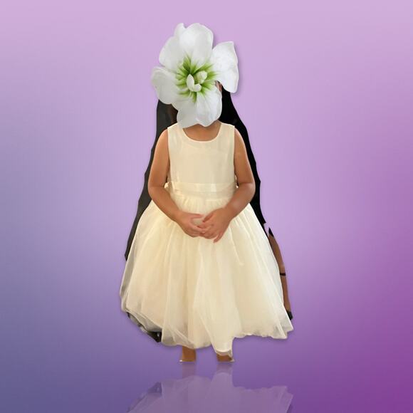 Pippa & Julie Shantung Flower Girl Dress - Size 3T - Picture 5 of 13